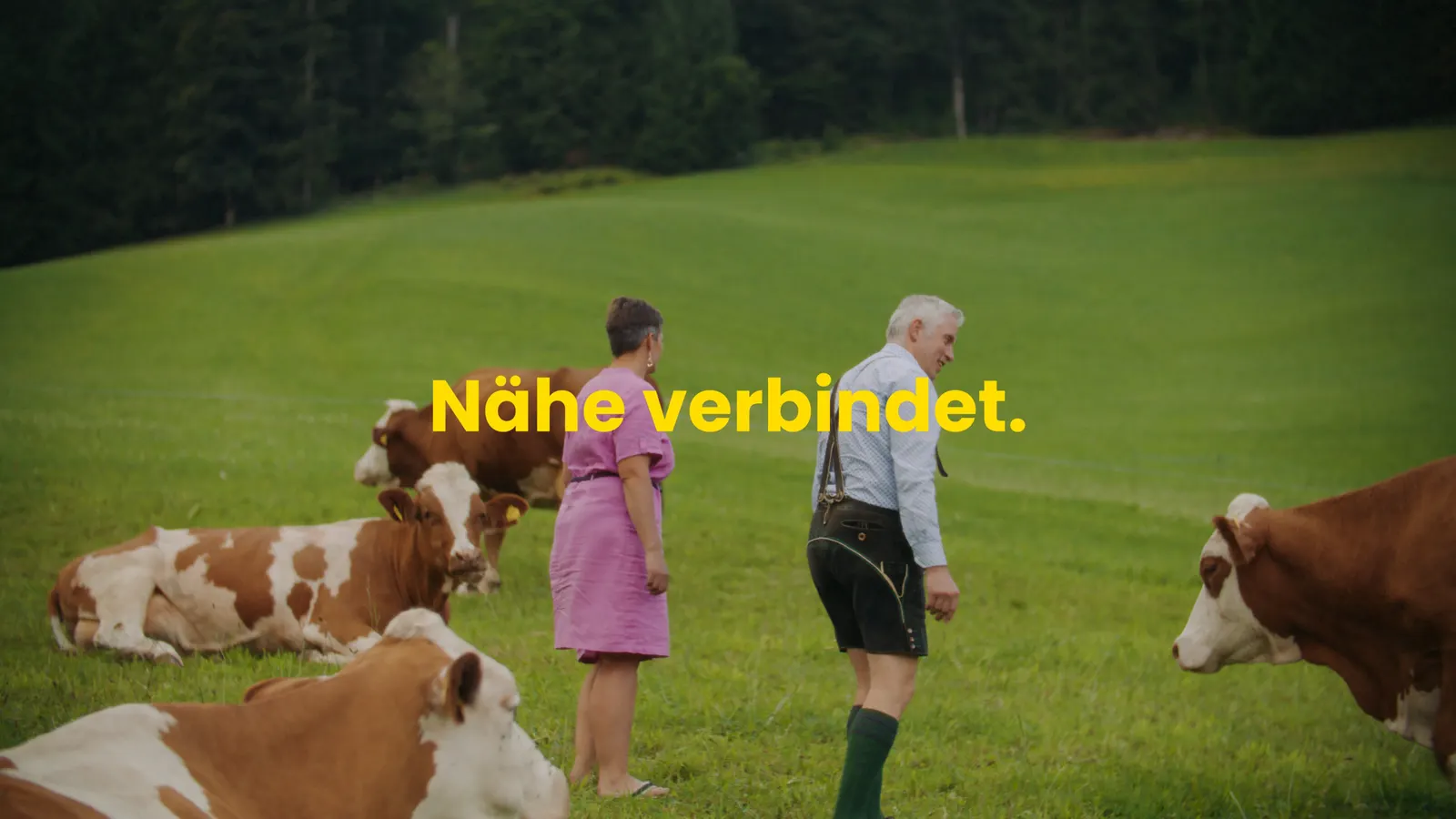 Couple with cows on an alpine meadow, still from the NV campaign “A guate Gschicht”