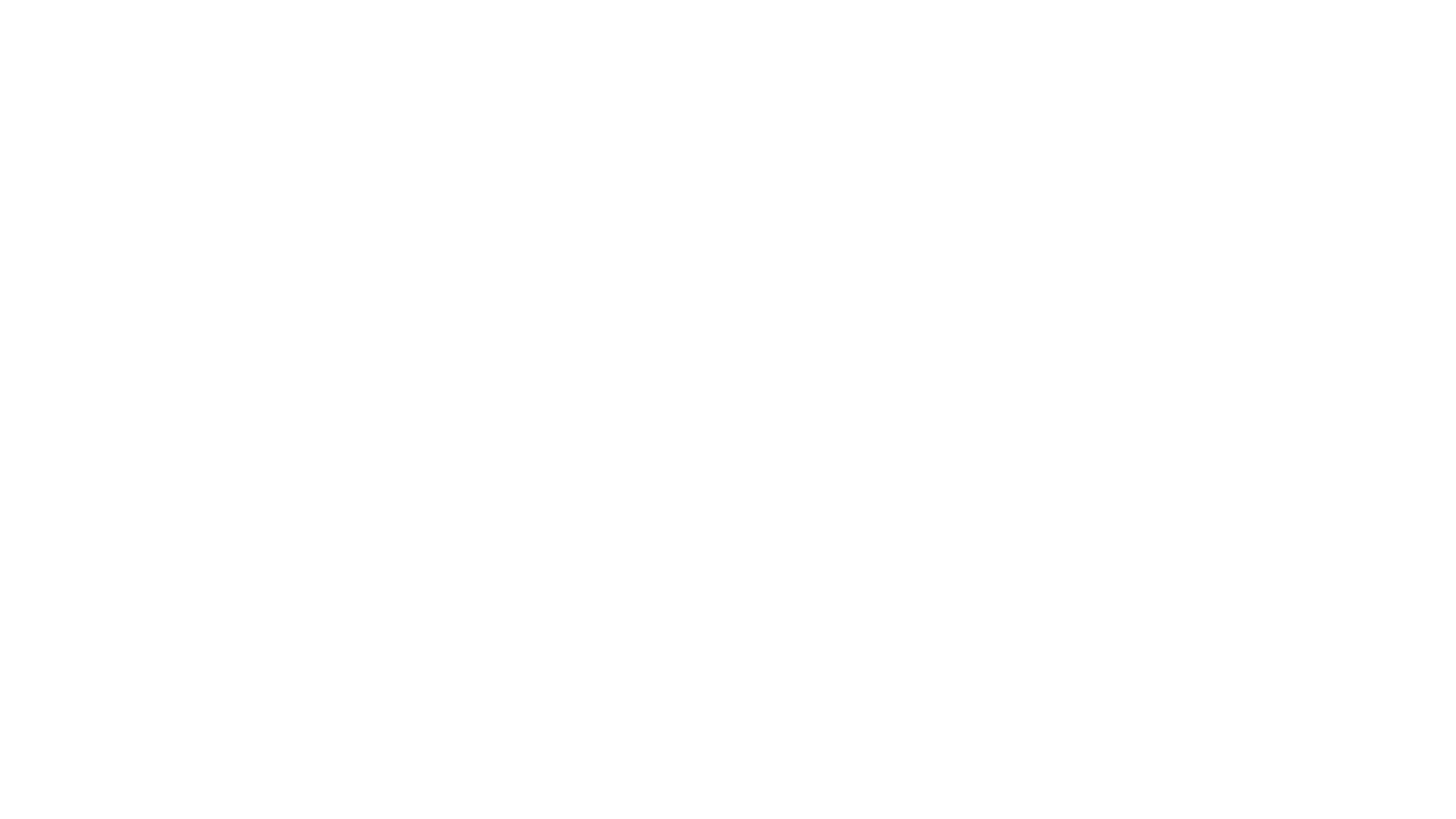 Zeppy